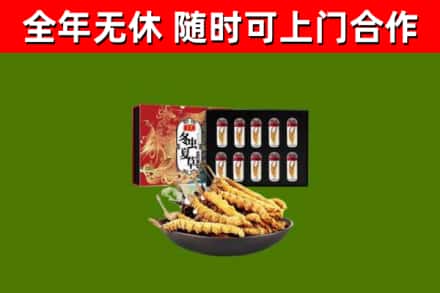 阳东烟酒回收冬虫夏草礼盒.jpg